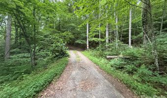 9999 Countryside Est, Barnardsville, NC 28709