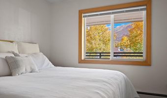 326 Midland Ave 306, Aspen, CO 81611