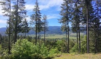 Alder Branch RD, Springfield, OR 97478