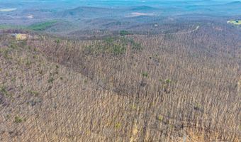 Larkin Mountain, Amherst, VA 24521