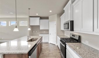 328 Rita Ridge Ct, Millsap, TX 76066