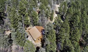 30 Chino Ter, Angel Fire, NM 87710