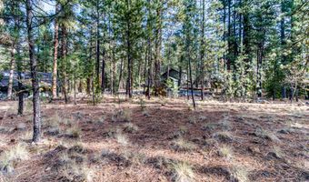 70976 Spikerush GH179, Black Butte Ranch, OR 97759