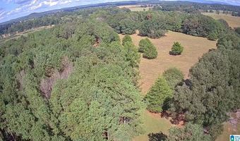 301 MORNINGSIDE Dr, Alexandria, AL 36250