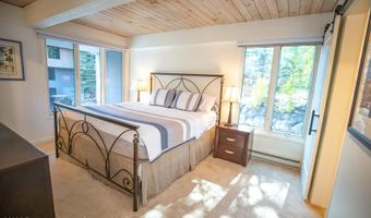 1039 E Cooper Ave #41, Aspen, CO 81611