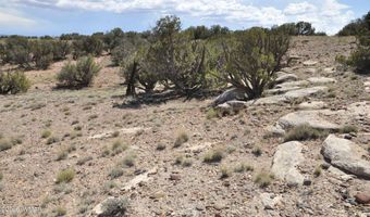 19 C & D County Rd N9033, Concho, AZ 85924