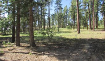 8 County Road 2194, Alpine, AZ 85920