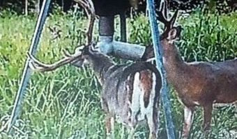 18999 River Rd, Athens, OH 45701