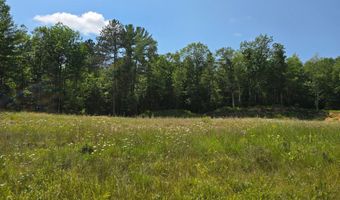 Off HWY 51, Arbor Vitae, WI 54521