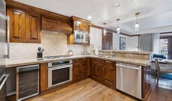415 E Dean St Unit 10 Weeks 51 + 52, Aspen, CO 81611