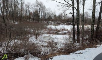 Algerine Street, Afton, NY 13730