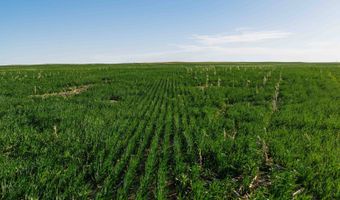 885 Th Rd, Bassett, NE 68714