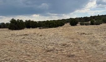 78 County Road 8010, Concho, AZ 85924