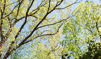 Parcel 45 BRYAN POINT Road, Accokeek, MD 20607