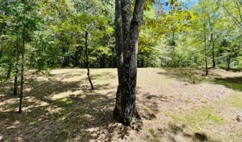 330 Blackgum, Batesville, MS 38606