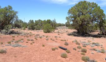 82 5020, Concho, AZ 85924