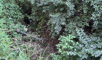 0 Dissapointment Hollow Rd, Barbourville, KY 40906