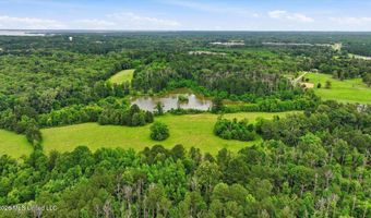 Vine Drive, Brandon, MS 39047