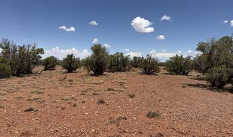 20 N 9160, Concho, AZ 85924