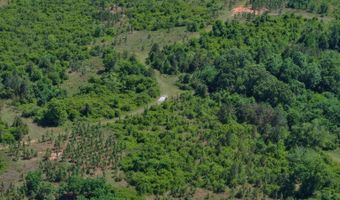 County Road 38, Autaugaville, AL 36003