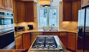 302 Roaring Fork Dr, Aspen, CO 81611
