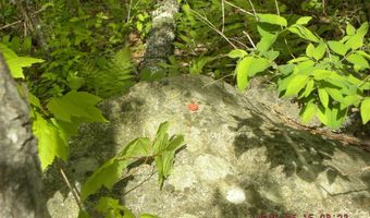 Lot 35 Bennett Road, Alfred, ME 04002