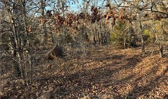 Tract 3 Rural Atoka, Atoka, OK 74525