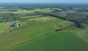 County Rd 33, Ashford, AL 36312
