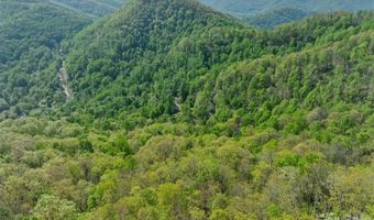 21 Reillys Bluff Rd 1, Barnardsville, NC 28709