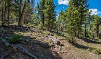 Lot 148 Brazos Dr, Angel Fire, NM 87710