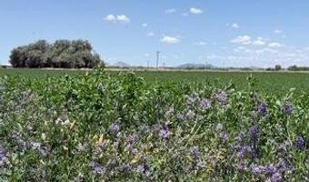 W Desert Rose Road, Arlington, AZ 85322