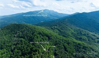 1009 Larkspur Trl, Banner Elk, NC 28604