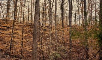 001 Blue Heron Cv, Abbeville, SC 29620