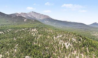 12190 Highway 7, Allenspark, CO 80510