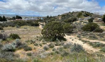 56735 Cain Rd, Anza, CA 92539