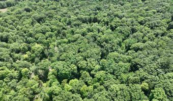 Denio Road, Barnet, VT 05821