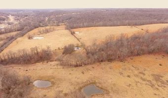 178 Acres Bug Scuffle Ln, Anderson, MO 64831