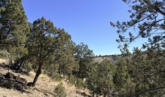 Bobcat Trail lot T43c, Alto, NM 88312