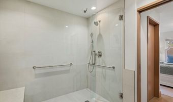 447 E Cooper Ave 1, Aspen, CO 81611