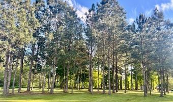 Daisy Lane 1, Andalusia, AL 36420
