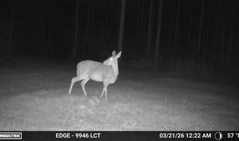 Highway 28, Abbeville, SC 29620