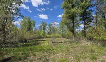 15252 27 Mile Rd, Albion, MI 49224