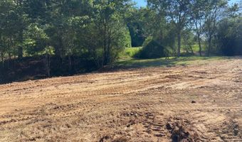 Tract 2 Hwy 51S, Homer, GA 30547