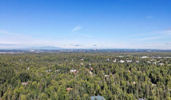 10151 Evergreen Tree St, Anchorage, AK 99507
