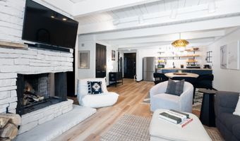 901 E Hyman Ave 4, Aspen, CO 81611