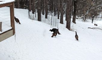 3805 Neal Ave S, Afton, MN 55001