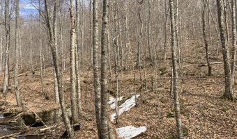 0 TBD Elleber Sods Rd, Bartow, WV 24920