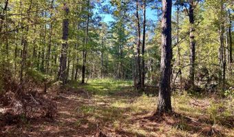 0 Lloyd Mill Rd, Andalusia, AL 36421