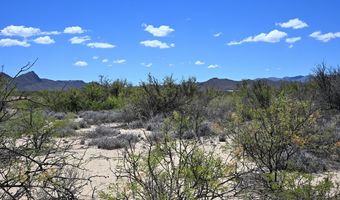 605 LTM Rd, Terlingua, TX 79852