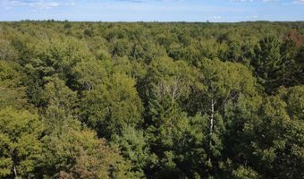 2782 River Rdg, Alger, MI 48610